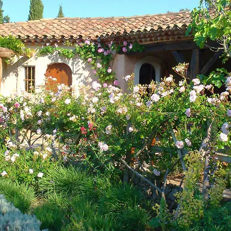 Elaiza Villa